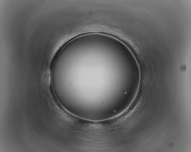 X0000096981509200802151319