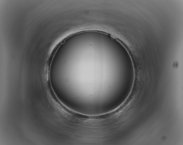 X0000096981510200802151319