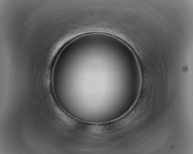 X0000096981511200802151319
