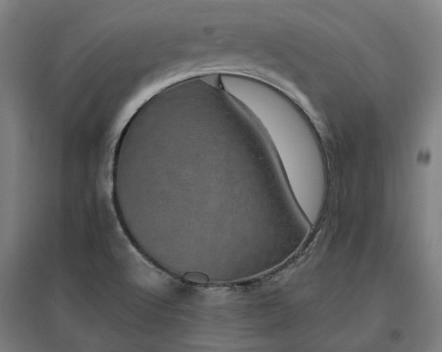 X0000096981512200802151319