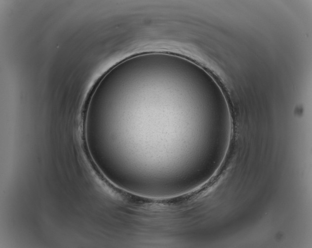 X0000096981517200802151319