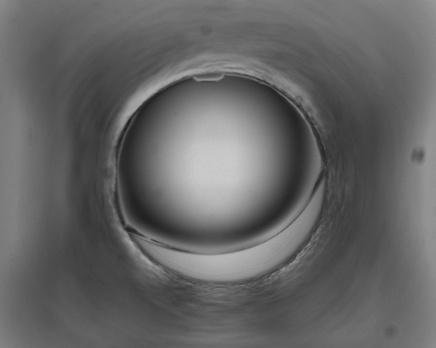 X0000096981520200802151319