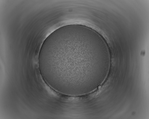 X0000096981521200802151319