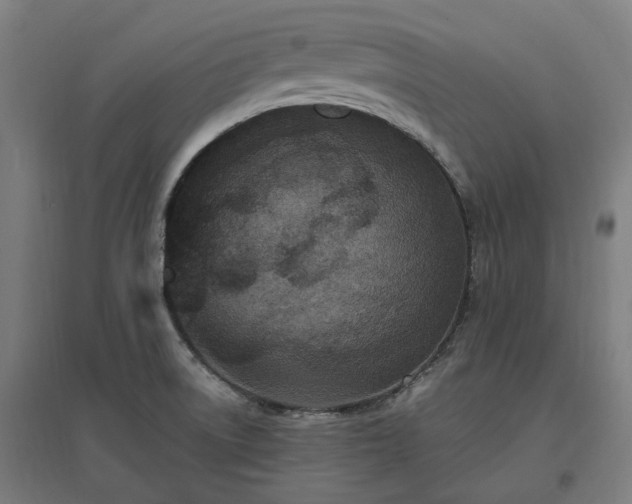X0000096981522200802151319