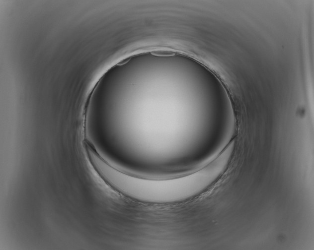 X0000096981524200802151319