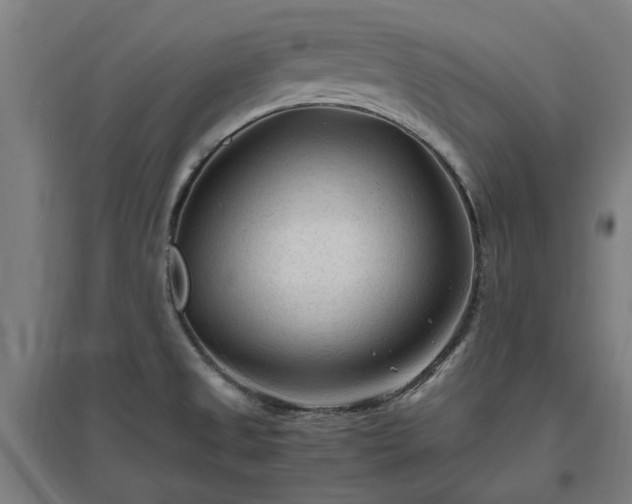 X0000096981525200802151319