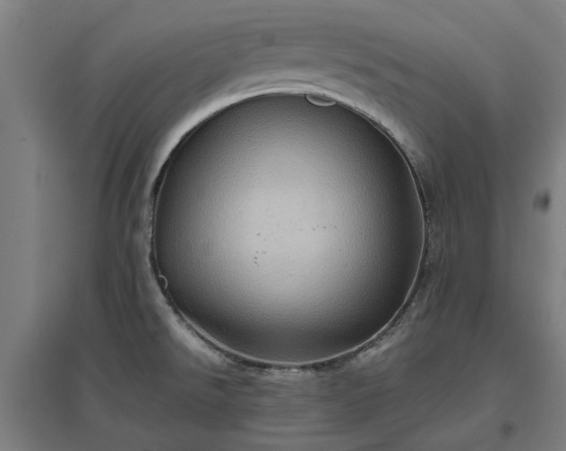 X0000096981526200802151319