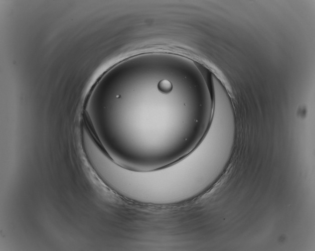 X0000096981530200802151319