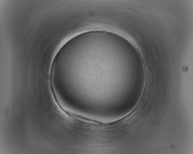 X0000096981536200802151319