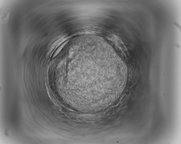 X0000096980001200802221445