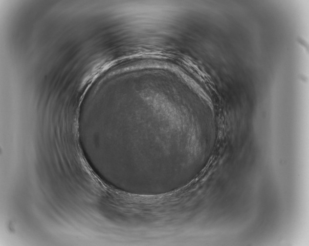 X0000096980002200802221445