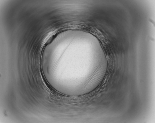 X0000096980003200802221445