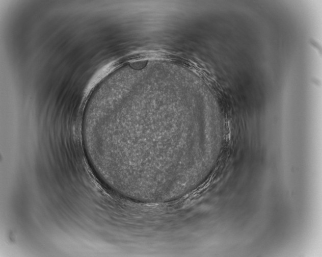 X0000096980004200802221445