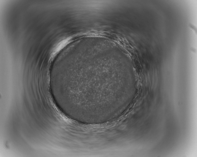 X0000096980005200802221445