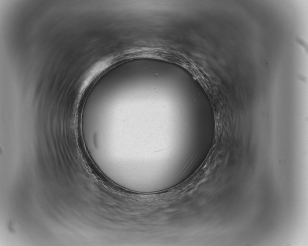 X0000096980006200802221445