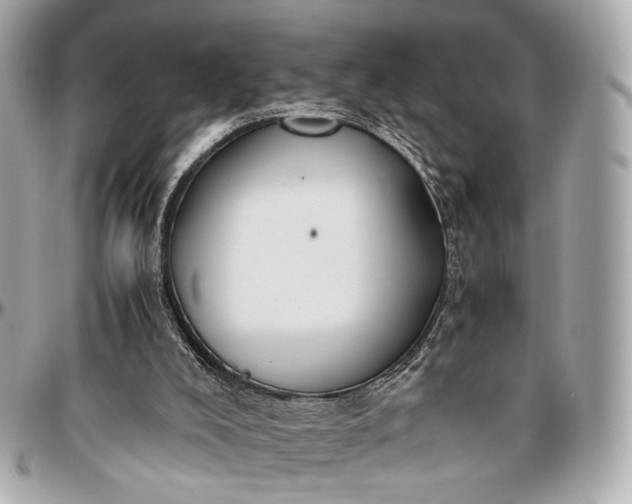 X0000096980008200802221445