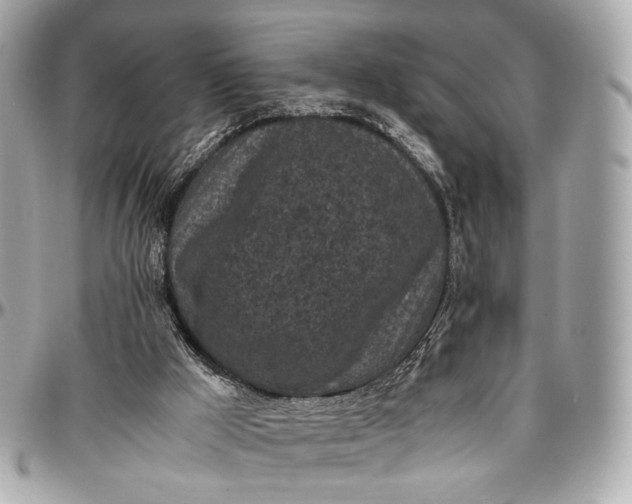 X0000096980009200802221445