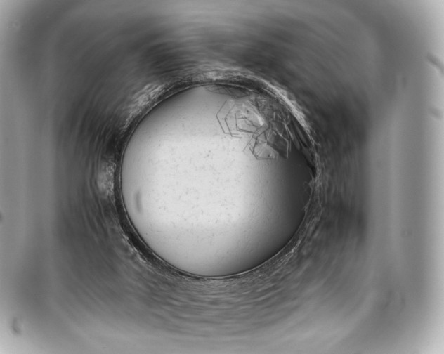 X0000096980010200802221445