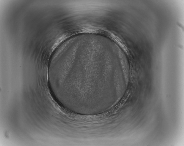 X0000096980011200802221445