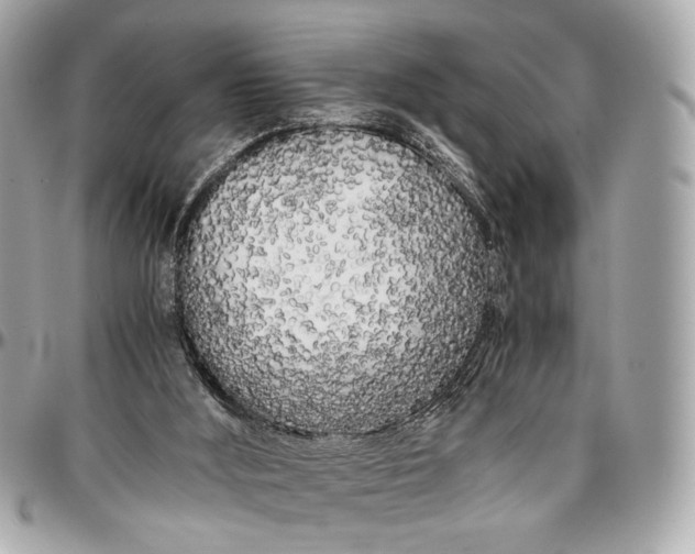 X0000096980012200802221444