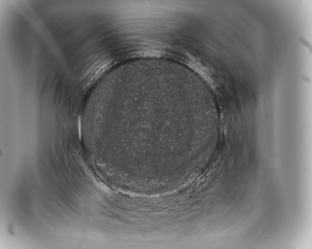 X0000096980013200802221444