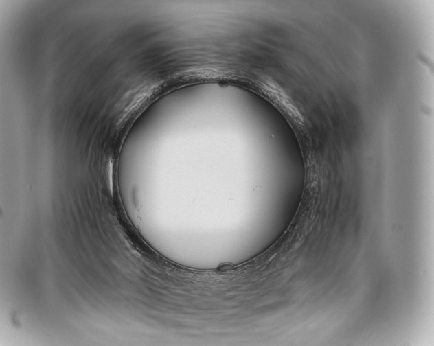 X0000096980014200802221444