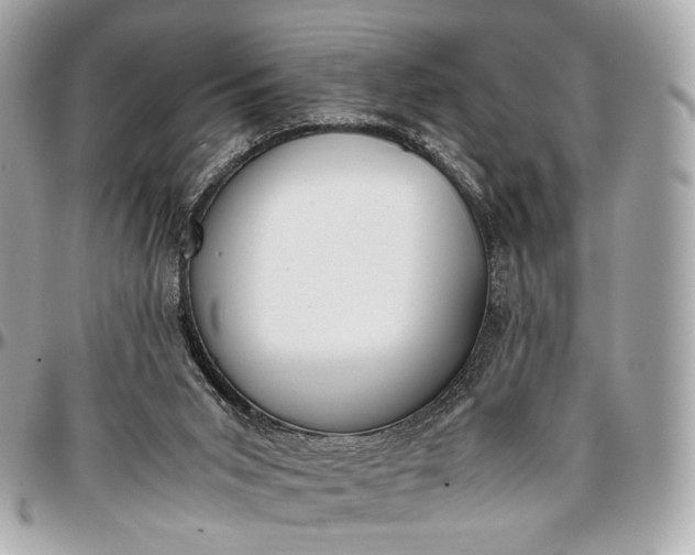 X0000096980015200802221444