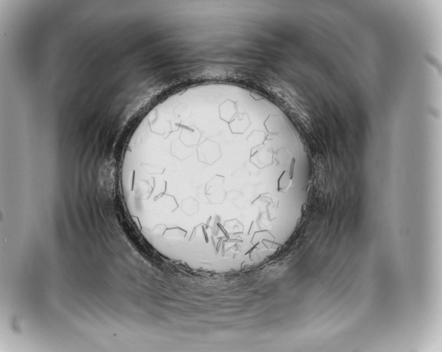 X0000096980016200802221444