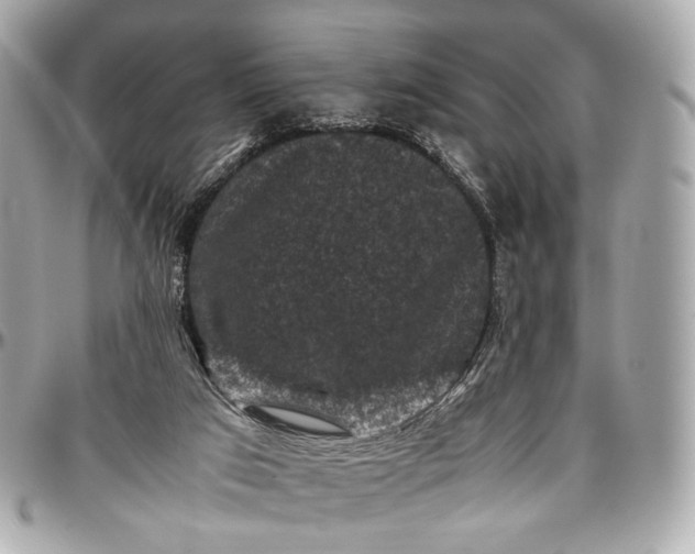 X0000096980017200802221444