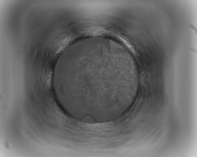 X0000096980018200802221444