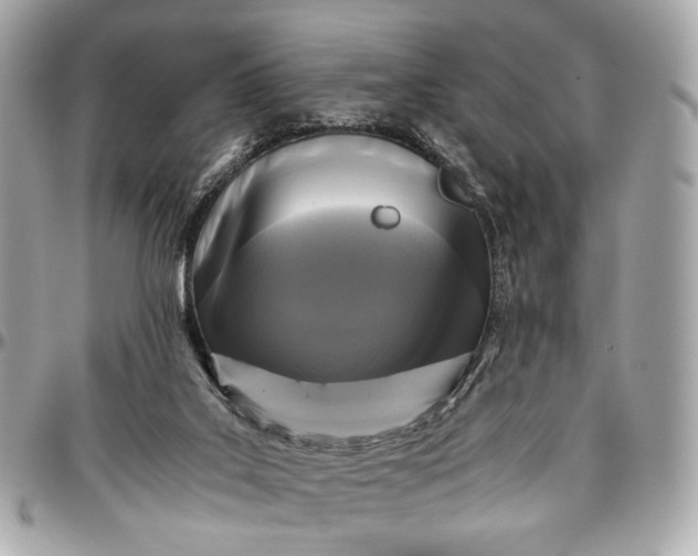 X0000096980019200802221444