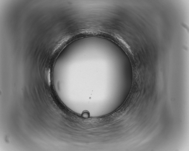 X0000096980020200802221444