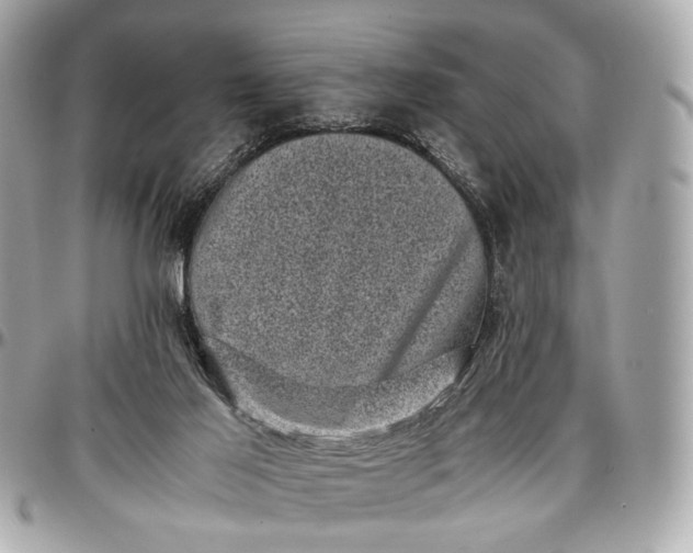 X0000096980021200802221444