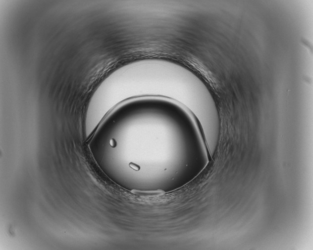 X0000096980022200802221444