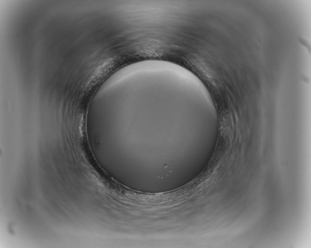 X0000096980023200802221444