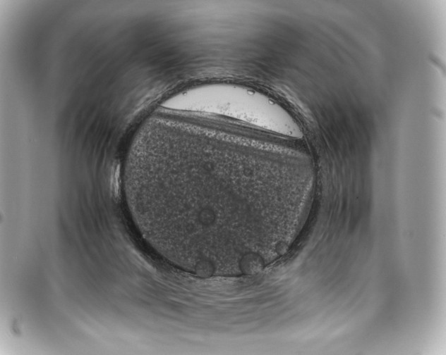 X0000096980024200802221444