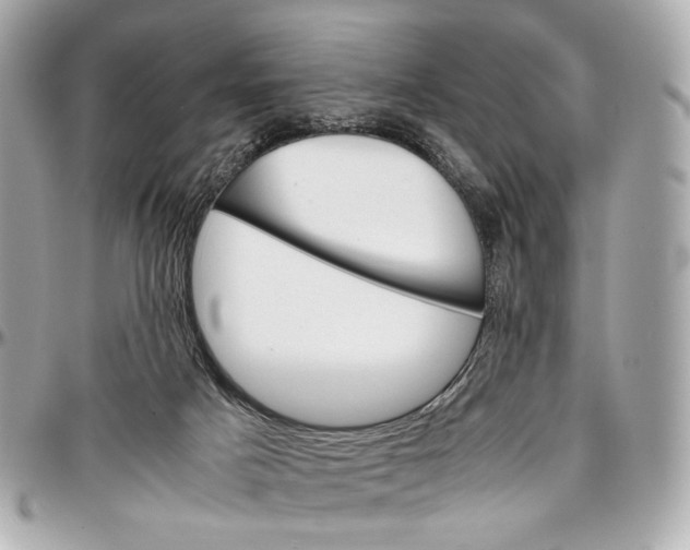 X0000096980025200802221444