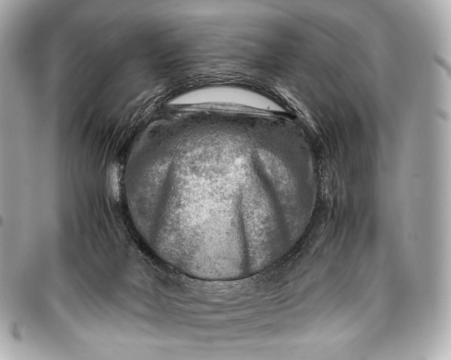 X0000096980026200802221444