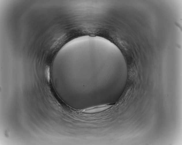 X0000096980027200802221444