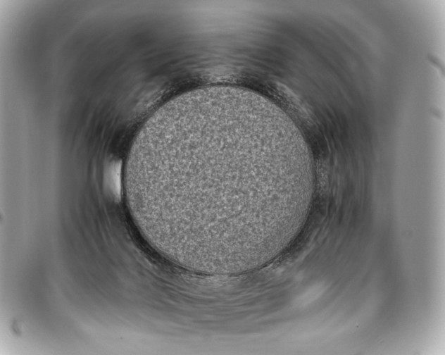 X0000096980028200802221444