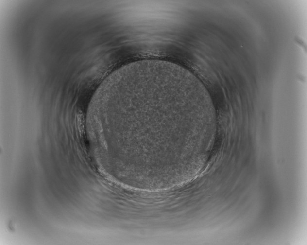 X0000096980029200802221444