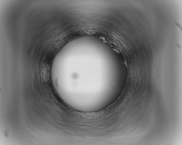 X0000096980030200802221444