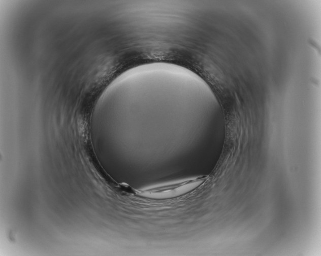 X0000096980031200802221444