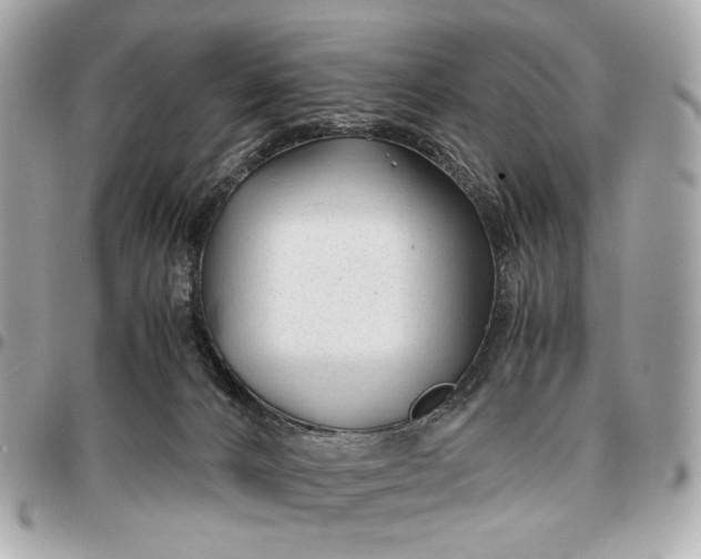 X0000096980032200802221444