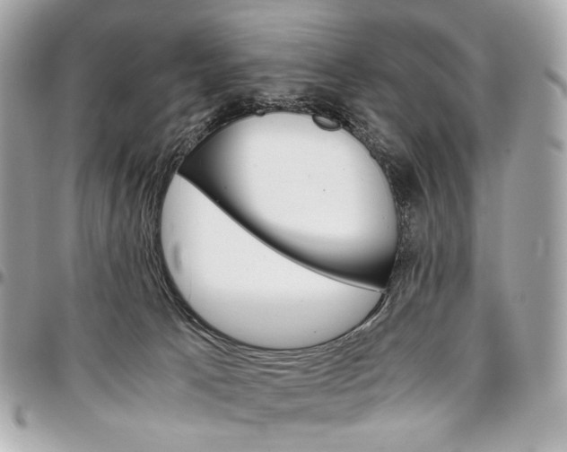 X0000096980033200802221444