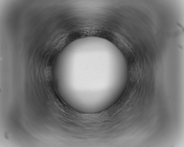 X0000096980034200802221444