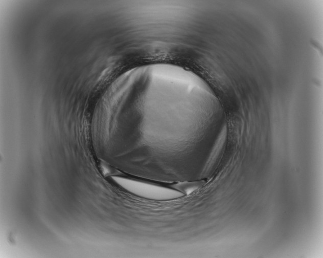 X0000096980035200802221444