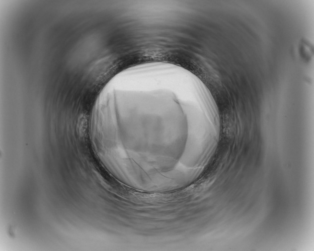 X0000096980036200802221444