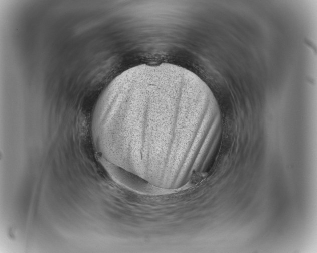 X0000096980037200802221444