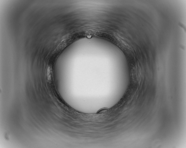 X0000096980038200802221444